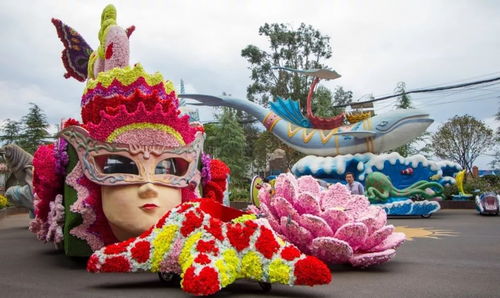 一、先说特惠——到底谁家蕞划算？