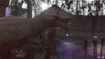 路上的颠簸与灵魂的拷问