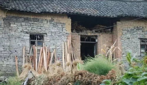 稻场属于宅基地吗,稻场属于宅基地吗