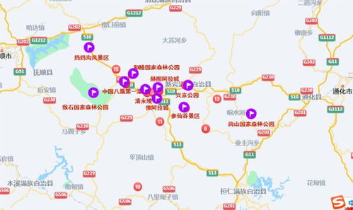 自由行：灵活又刺激