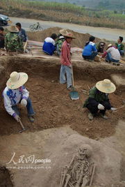 崇左遗址,崇左遗址