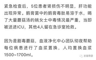 结论