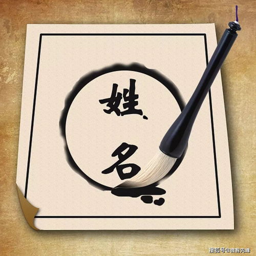 B、 道家视角——顺应天然随心所欲