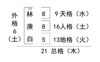 总格是凶还是吉好？最吉的数改写：哪个数字能带来总格最佳运势？