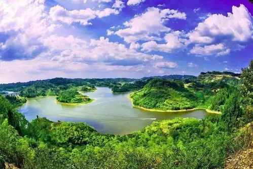 一、为什么选择蓬岛？（反正我就是想跟你犟！）