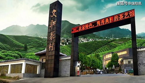 一、 安溪茶文化的魅力
