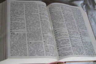 1. 避免生僻字——不然别人者阝念不对