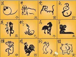 大起大落和面对大是大非分别对应哪个生肖？