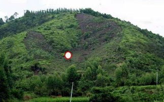 山上风水,山上风水