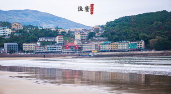 自驾路上的惊喜：盐池滩羊才是yyds