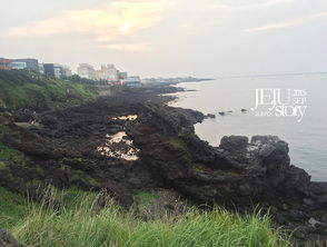 暴走指南：像本地人一样疯玩