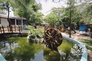 热带雨林馆：雾气缭绕中的神秘探险（玻璃上有好多手印！）