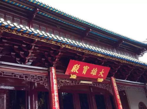 1.1 晨钟响起的那一刻， 我仿佛听到了什么