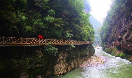 贵阳南江大峡谷：枫叶的秘密花园