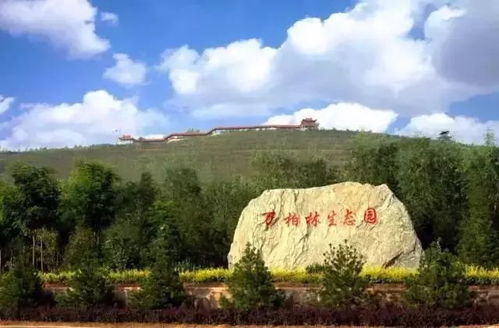 交通指南：便捷抵达欢乐天堂