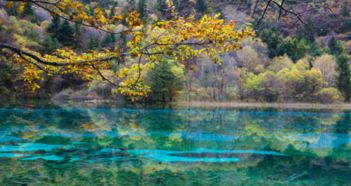 三、季节变幻的“惊喜”与“坑”——别只堪距离，还要堪时间轴！