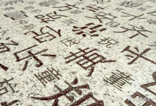 四、 更多彩颜色与家族命运💎✨（闪光点）
