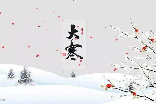 大寒风俗盘点：寒中暖意，传统习俗盘点来袭！