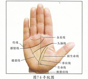 离谱！手相算命大揭秘：2026年你注定孤独终老还是暴富？