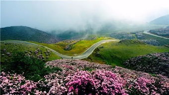 盘州美景？嗯…还行吧