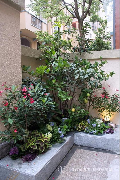 入户花园灯光设计,花园的灯怎么布置