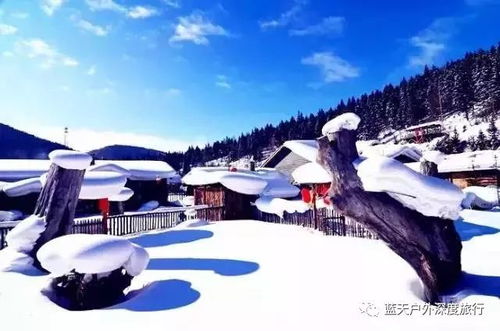 怎么去这个鬼地方
