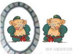 属猪的朋友：乐天派的忧愁