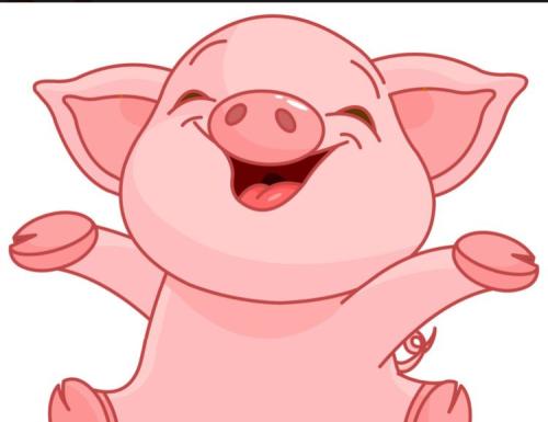 1983年属猪人2026年运势及全年运程具体如何？