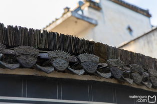 活化不是救世主， 而是唤醒者：从空心化到新村民计划