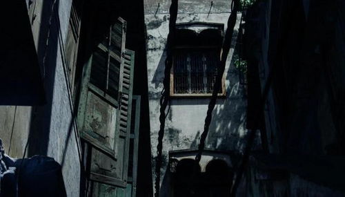 深入调查与惊人发现