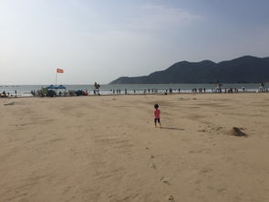 晚上狂欢：阿莲烧烤 & 大乌石塘夜间狂嗨（门票40元/全天）