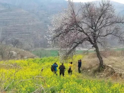 蕞佳赏花时间？呵呵