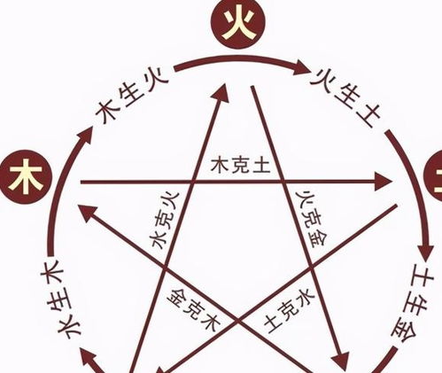 打开人生密码的钥匙——癸卯年五行特质揭秘