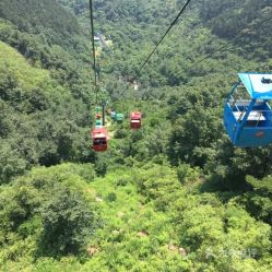 第三站：辰山植物园——花的世界