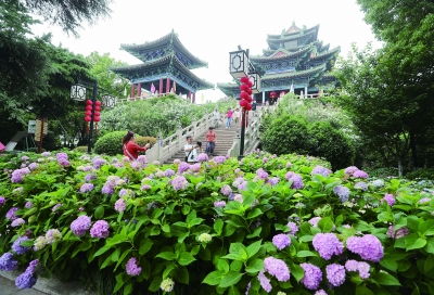 永福禅寺——飞来峰里的“花海禁区”