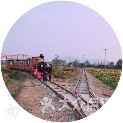 当你以为自己在做梦 其实钱包在流血