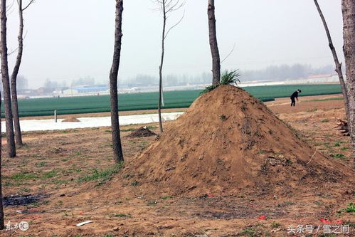 阴宅风水入坟断事，如何通过断坟图解判断风水吉凶？