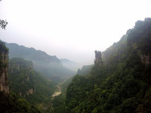 第三方平台的低价都是坑