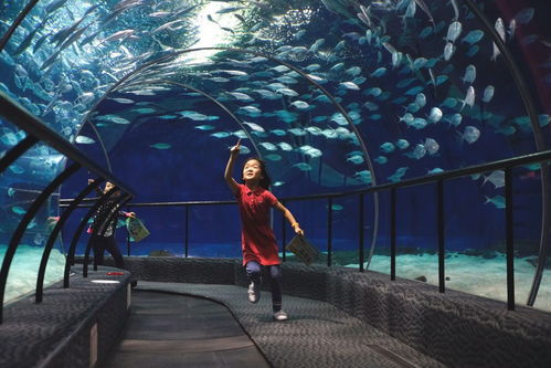 #实用攻略# —— 生存指南+省钱秘籍