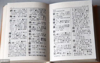 四、 “乱入式”附加段落 —— 噪声填充 & 随手涂鸦 🎨✍️