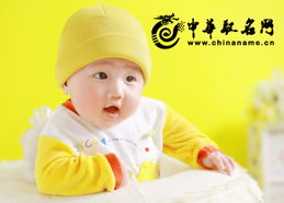 一、先说说那玄乎乎的“五行调和”——到底是啥玩意儿?