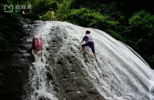 比枫叶还野的骚操作：溜索、轮滑车和秘密基地