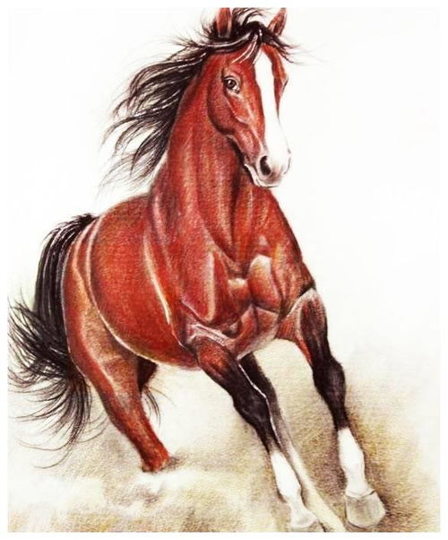 2026年属马人会有贵人相助吗？属马女士本命年礼物代表什么含义？