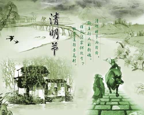 哪天扫墓最合适？别问我了！