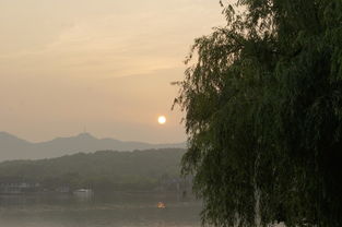 三、心心念念的游船之旅：瘦西湖上的发呆时间