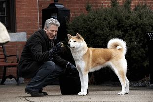 那东西夜晚的犬吠