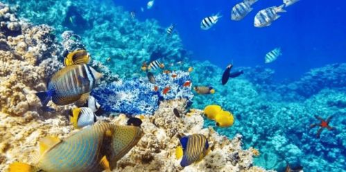 第二章：不安的蔓延与五行缺火