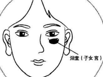 面相学原理