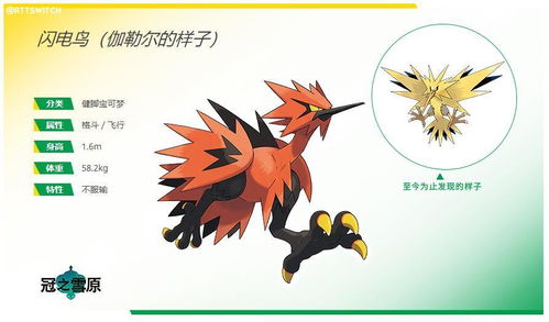 枭神旺的人吉凶如何判断？枭神是何种鸟类？