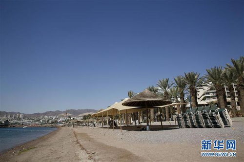 红海和沙漠的狗血相遇：埃拉特旅游的惊天骗局